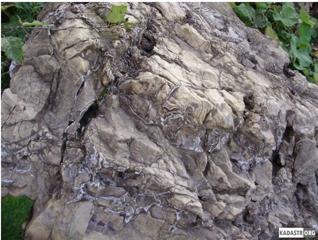 Морфологические особенности окварцевания сидерит-карбонатных пород  на правом берегу реки Прут
