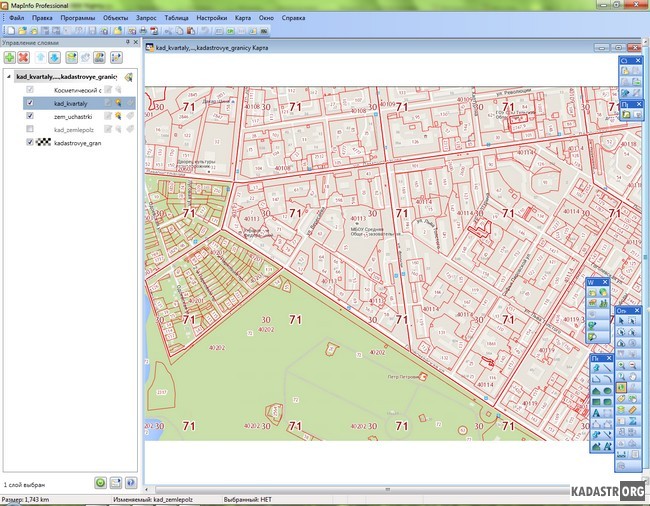 Окно ГИС Mapinfo с созданными поверх подложки слоями кадастровых кварталов и земельных участков
