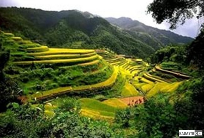 Экологическое земледелие в Китае